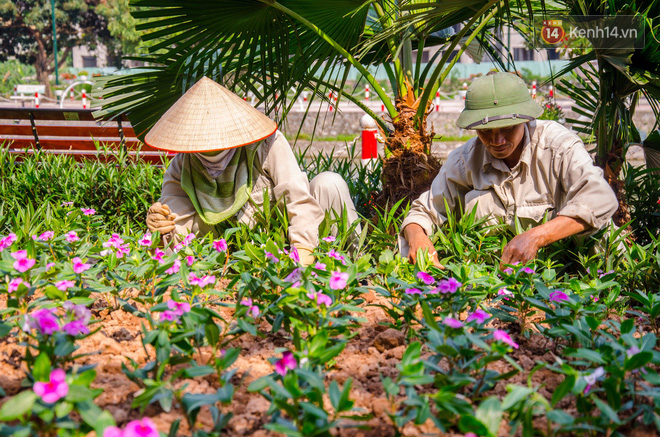 Phố Trịnh Công Sơn gấp rút hoàn thiện trước ngày trở thành không gian đi bộ thứ 2 ở Hà Nội Phố Trịnh Công Sơn gấp rút hoàn thiện trước ngày trở thành không gian đi bộ thứ 2 ở Hà Nội